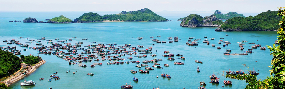 vé tàu cao tốc, vé tàu cát bà, vé tàu hoàng yến